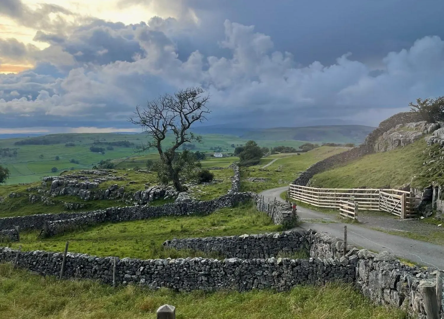 Jubilee Cottage In The Yorkshire Dales 세틀 영국